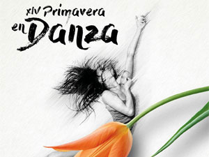 Concertos didácticos