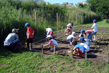 Actividades en el Huerto Infantil Ecolgico 